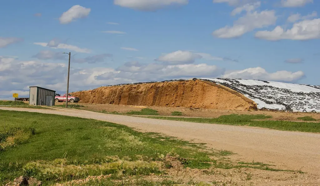 Silage Pile