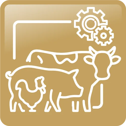 livestock