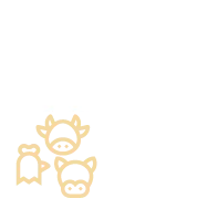 economic